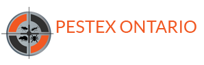 haldimand Pest